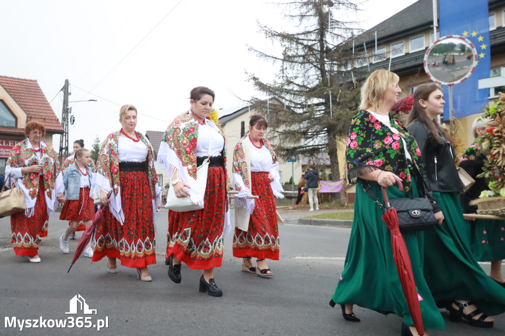 Fotorelacja I: Dożynki Powiatu Myszkowskiego w Niegowie