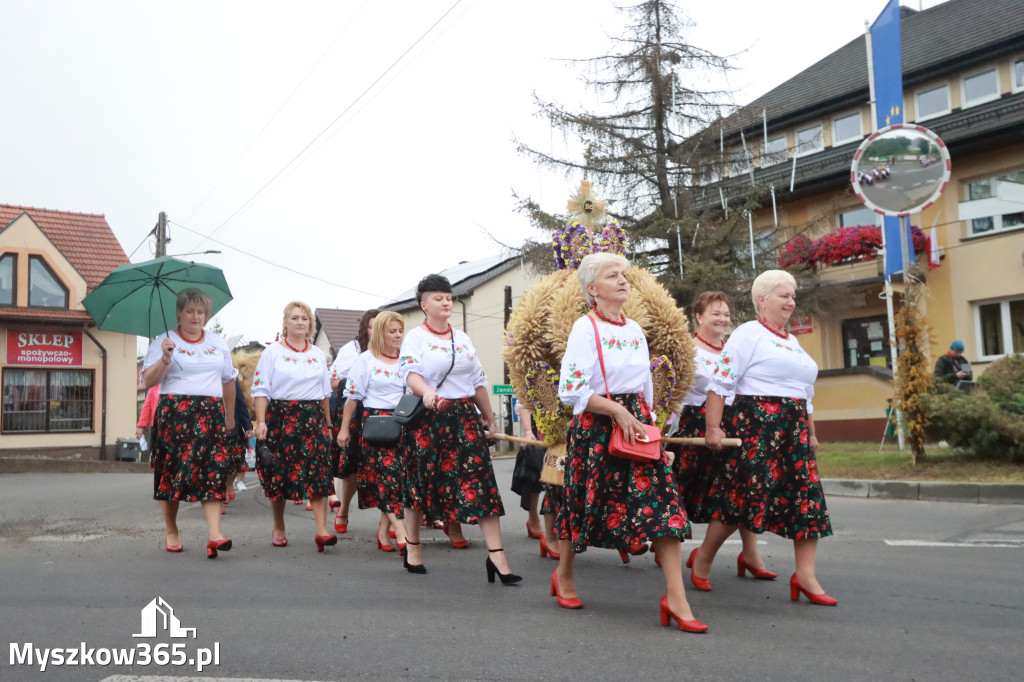 Fotorelacja I: Dożynki Powiatu Myszkowskiego w Niegowie
