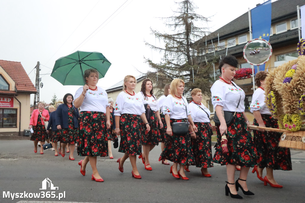 Fotorelacja I: Dożynki Powiatu Myszkowskiego w Niegowie