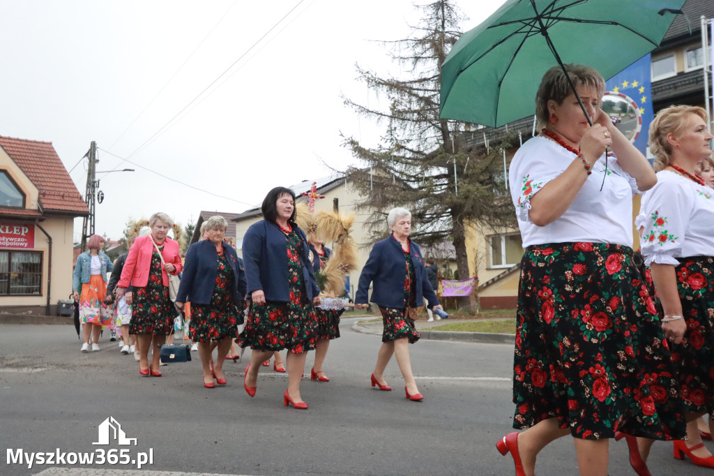 Fotorelacja I: Dożynki Powiatu Myszkowskiego w Niegowie