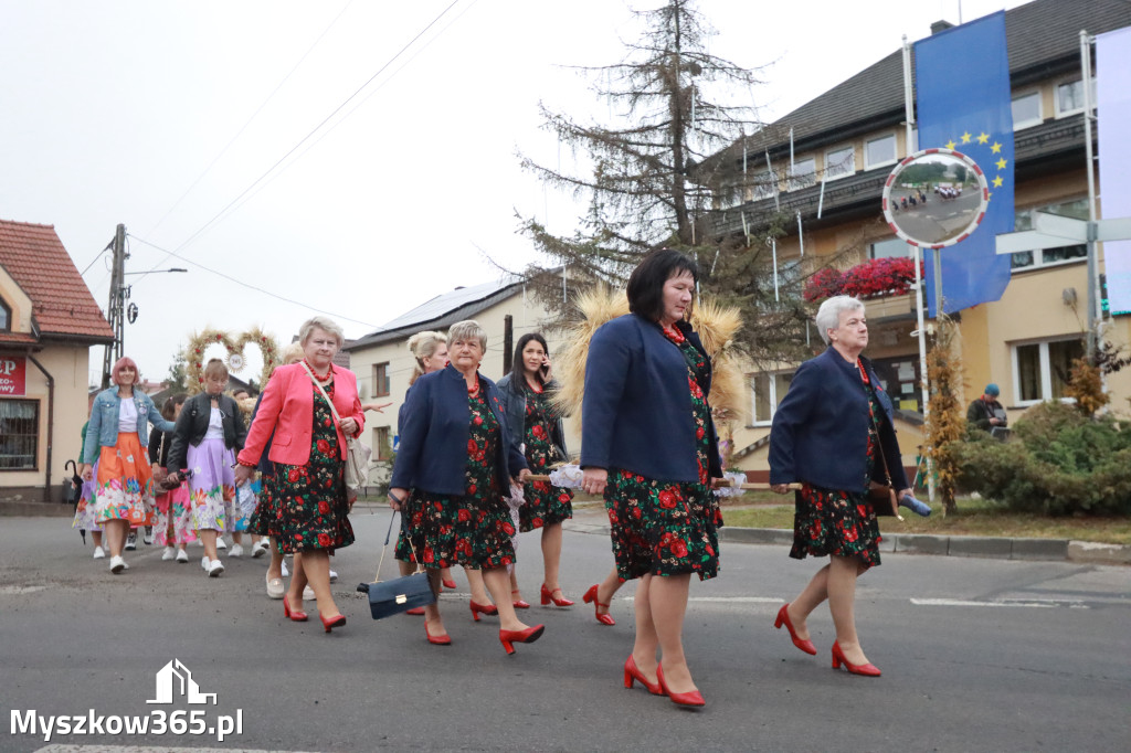 Fotorelacja I: Dożynki Powiatu Myszkowskiego w Niegowie