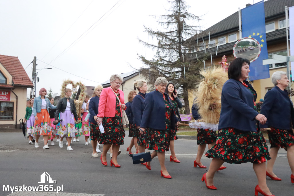 Fotorelacja I: Dożynki Powiatu Myszkowskiego w Niegowie