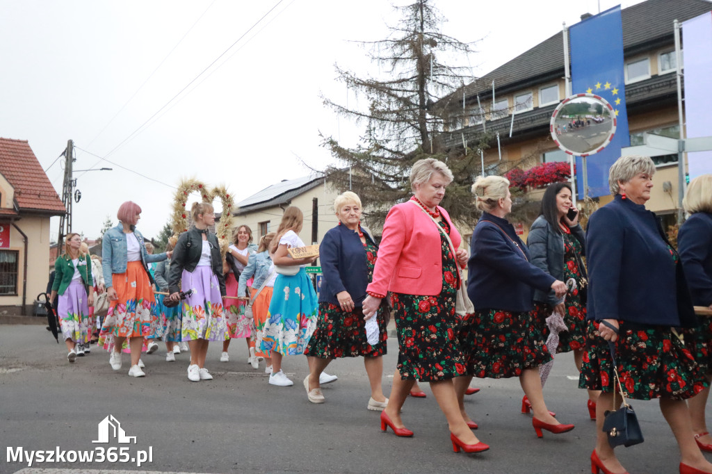 Fotorelacja I: Dożynki Powiatu Myszkowskiego w Niegowie