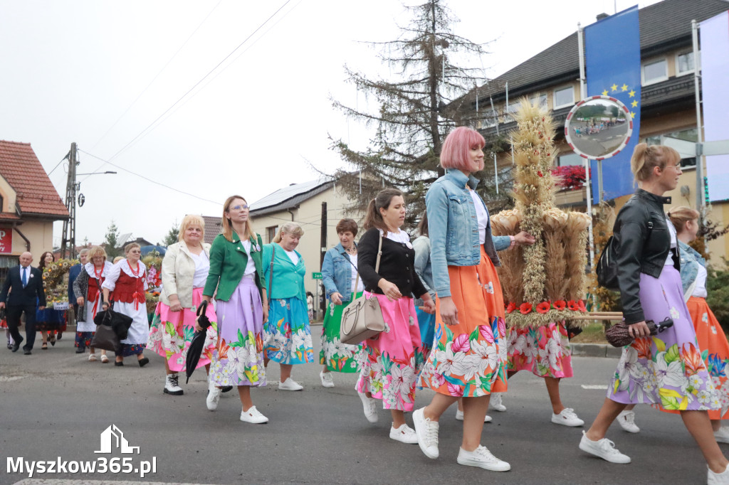 Fotorelacja I: Dożynki Powiatu Myszkowskiego w Niegowie