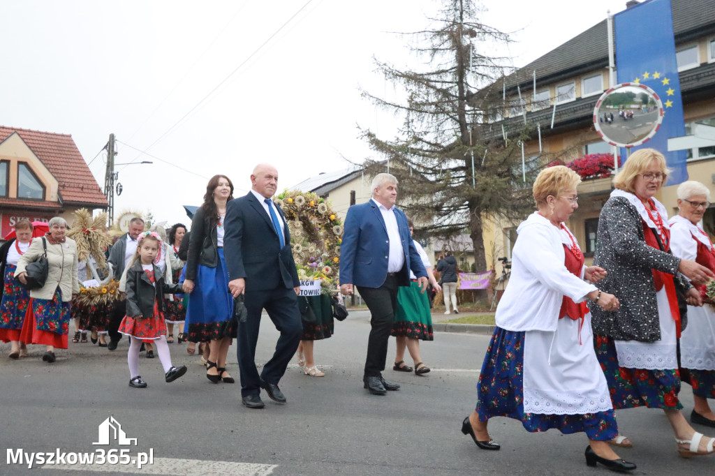 Fotorelacja I: Dożynki Powiatu Myszkowskiego w Niegowie