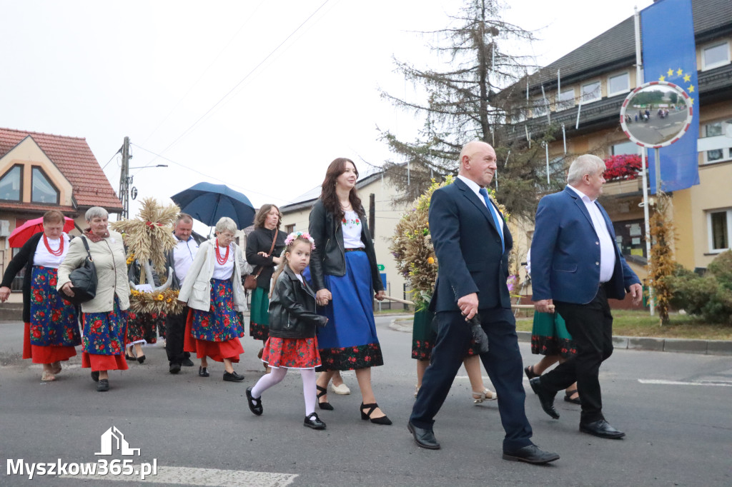 Fotorelacja I: Dożynki Powiatu Myszkowskiego w Niegowie