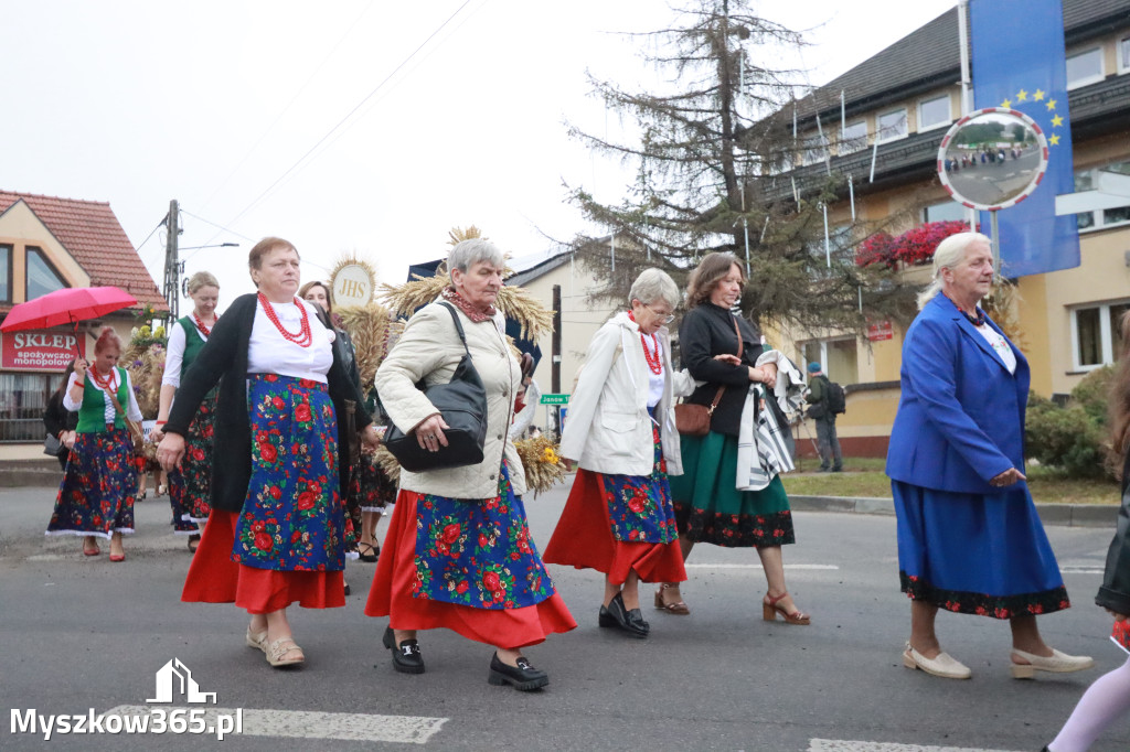 Fotorelacja I: Dożynki Powiatu Myszkowskiego w Niegowie