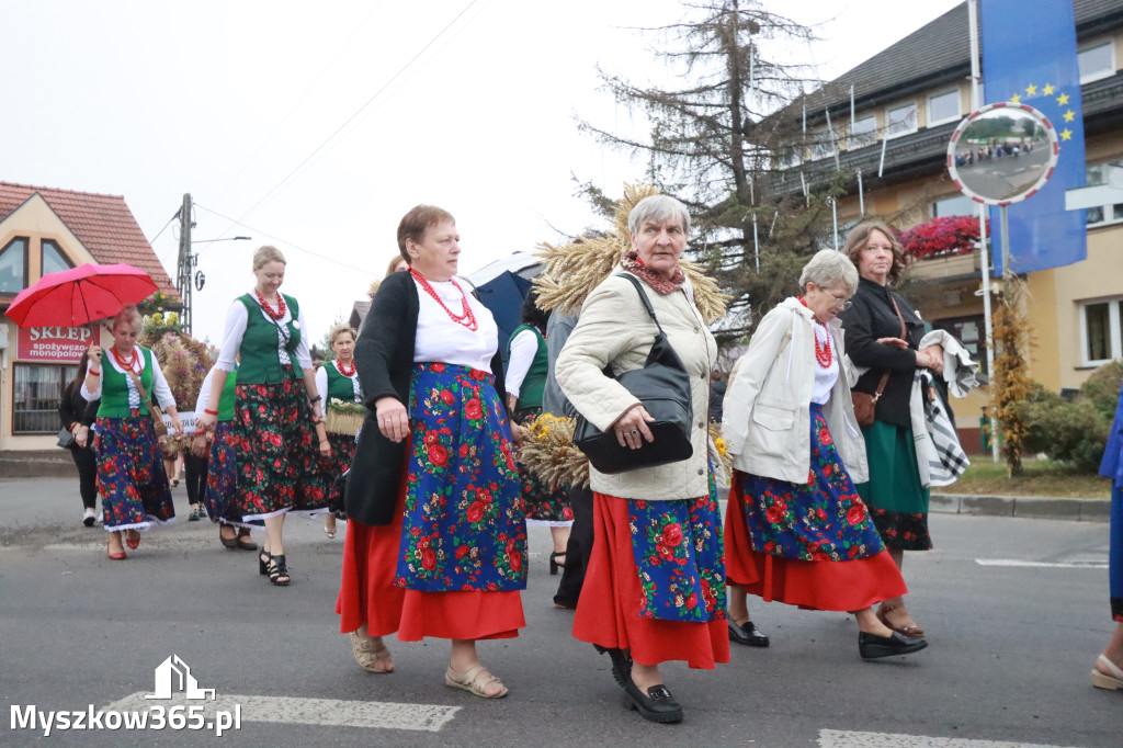 Fotorelacja I: Dożynki Powiatu Myszkowskiego w Niegowie