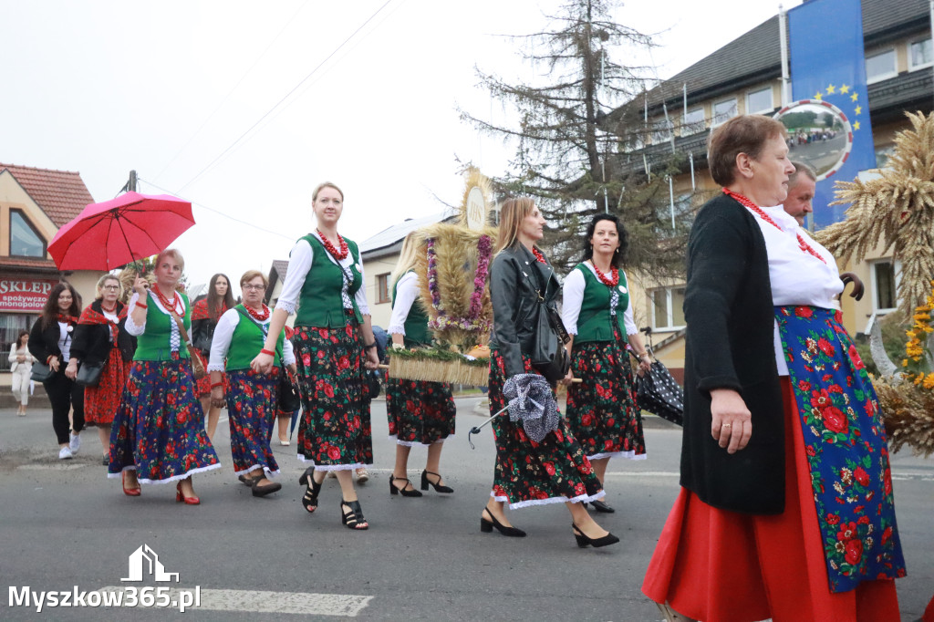 Fotorelacja I: Dożynki Powiatu Myszkowskiego w Niegowie