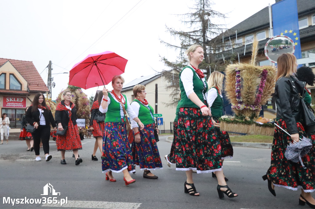 Fotorelacja I: Dożynki Powiatu Myszkowskiego w Niegowie