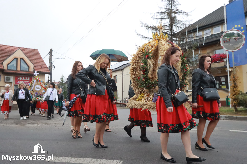Fotorelacja I: Dożynki Powiatu Myszkowskiego w Niegowie