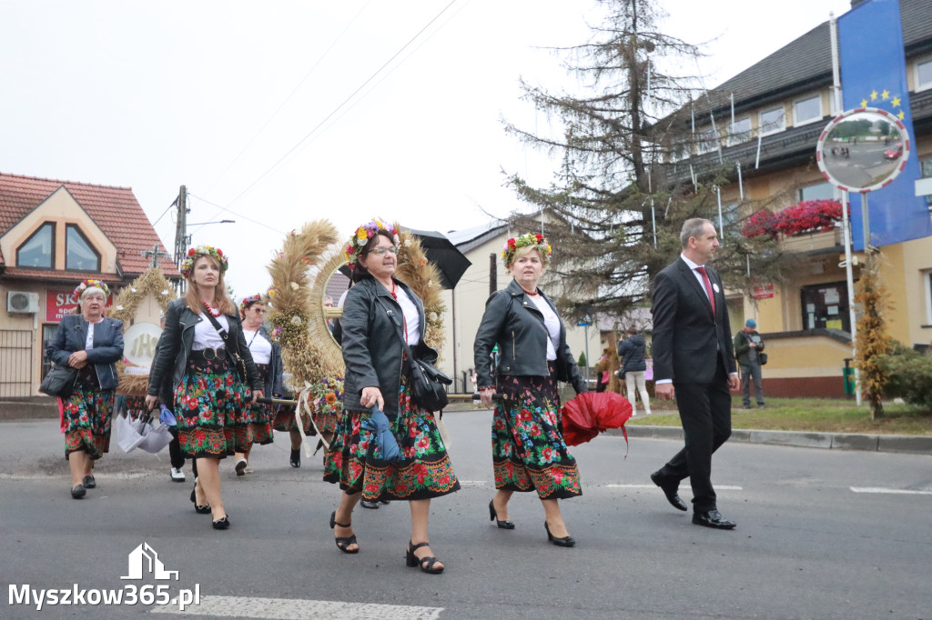 Fotorelacja I: Dożynki Powiatu Myszkowskiego w Niegowie