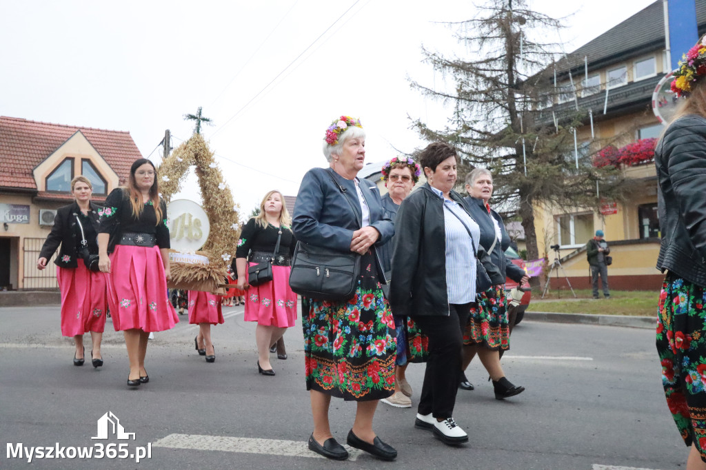 Fotorelacja I: Dożynki Powiatu Myszkowskiego w Niegowie