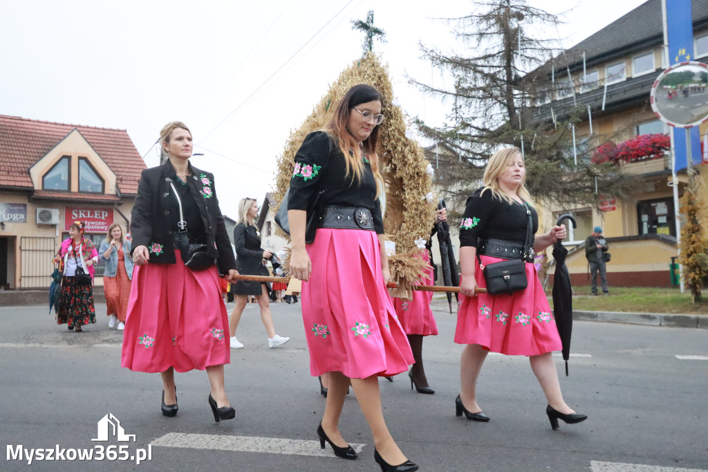 Fotorelacja I: Dożynki Powiatu Myszkowskiego w Niegowie