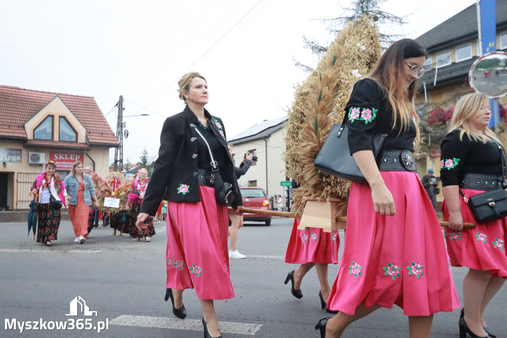 Fotorelacja I: Dożynki Powiatu Myszkowskiego w Niegowie