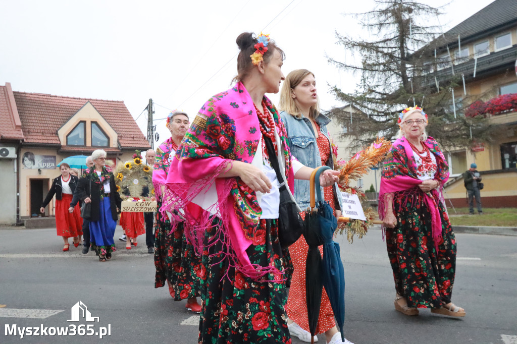 Fotorelacja I: Dożynki Powiatu Myszkowskiego w Niegowie
