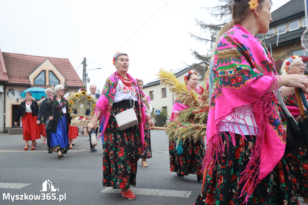 Fotorelacja I: Dożynki Powiatu Myszkowskiego w Niegowie