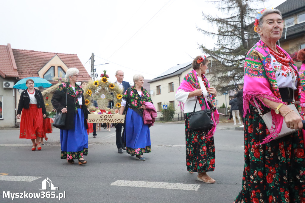 Fotorelacja I: Dożynki Powiatu Myszkowskiego w Niegowie