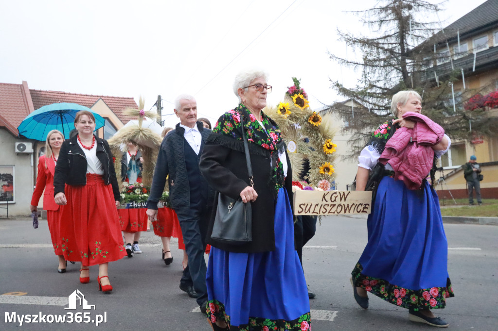 Fotorelacja I: Dożynki Powiatu Myszkowskiego w Niegowie