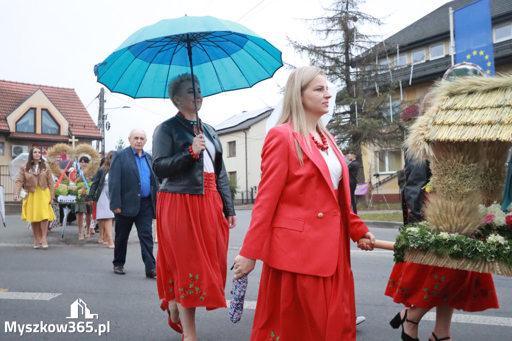 Fotorelacja I: Dożynki Powiatu Myszkowskiego w Niegowie