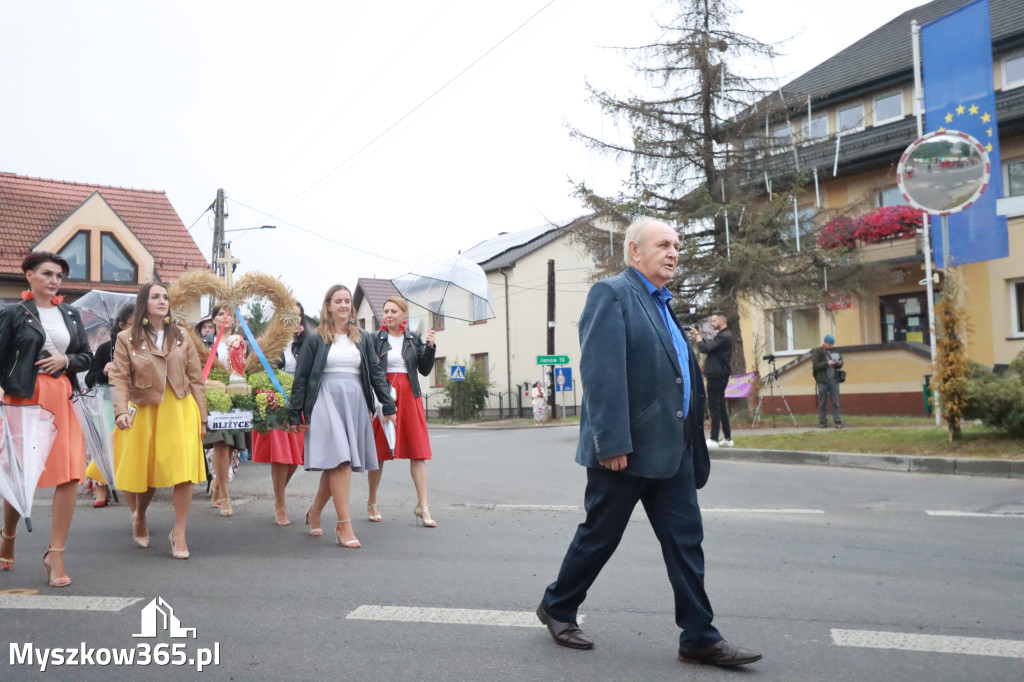 Fotorelacja I: Dożynki Powiatu Myszkowskiego w Niegowie