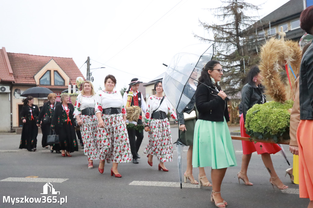 Fotorelacja I: Dożynki Powiatu Myszkowskiego w Niegowie