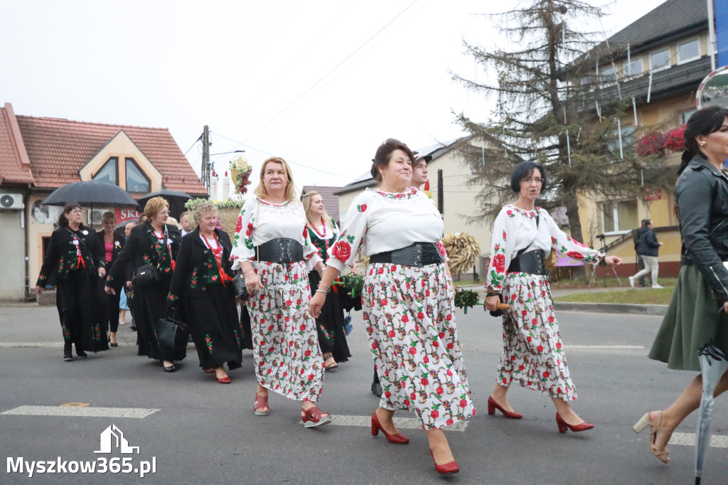 Fotorelacja I: Dożynki Powiatu Myszkowskiego w Niegowie