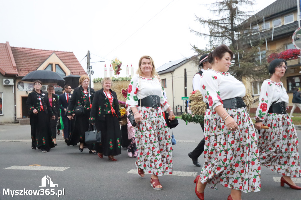 Fotorelacja I: Dożynki Powiatu Myszkowskiego w Niegowie