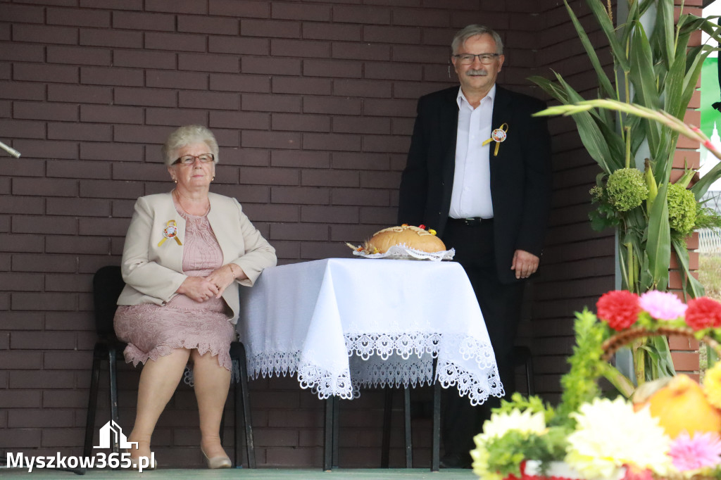 Fotorelacja II: Dożynki Powiatu Myszkowskiego w Niegowie