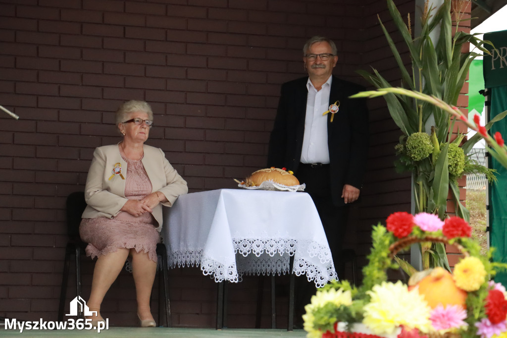 Fotorelacja II: Dożynki Powiatu Myszkowskiego w Niegowie