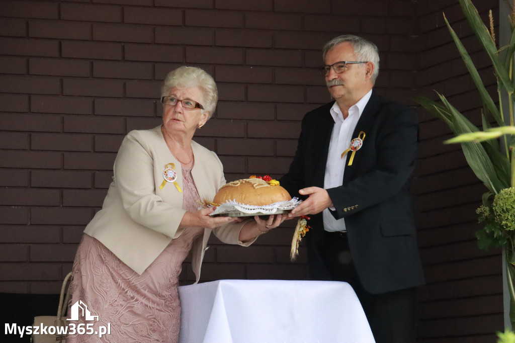 Fotorelacja II: Dożynki Powiatu Myszkowskiego w Niegowie