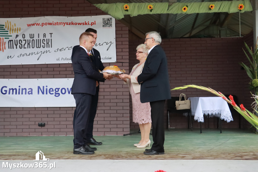 Fotorelacja II: Dożynki Powiatu Myszkowskiego w Niegowie