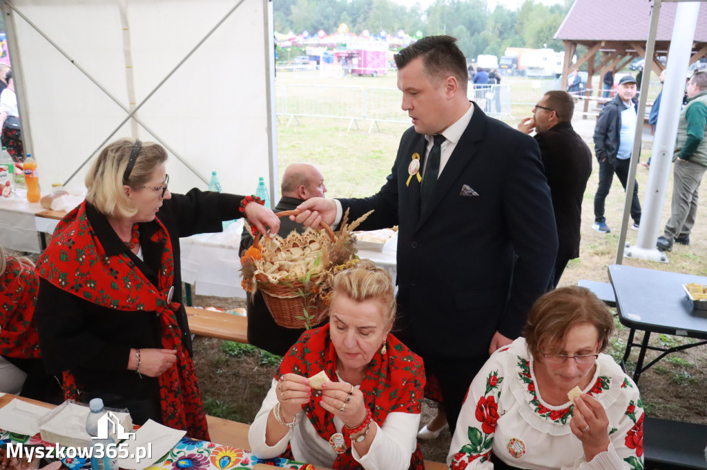 Fotorelacja II: Dożynki Powiatu Myszkowskiego w Niegowie