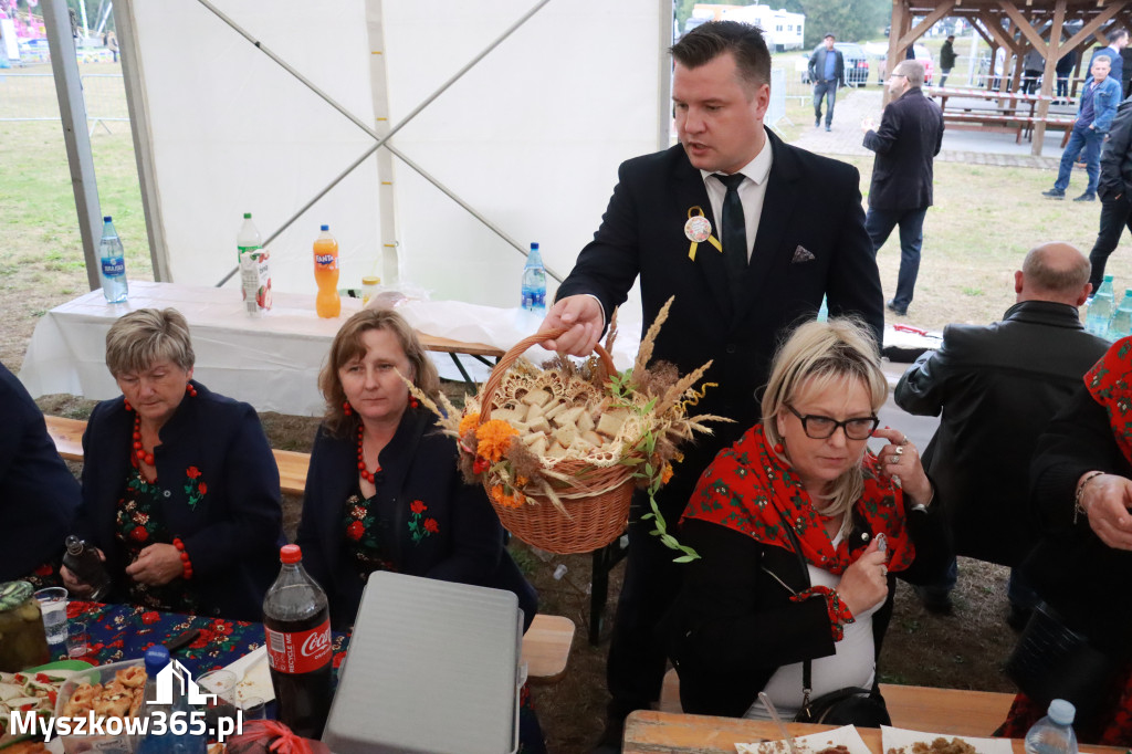 Fotorelacja II: Dożynki Powiatu Myszkowskiego w Niegowie