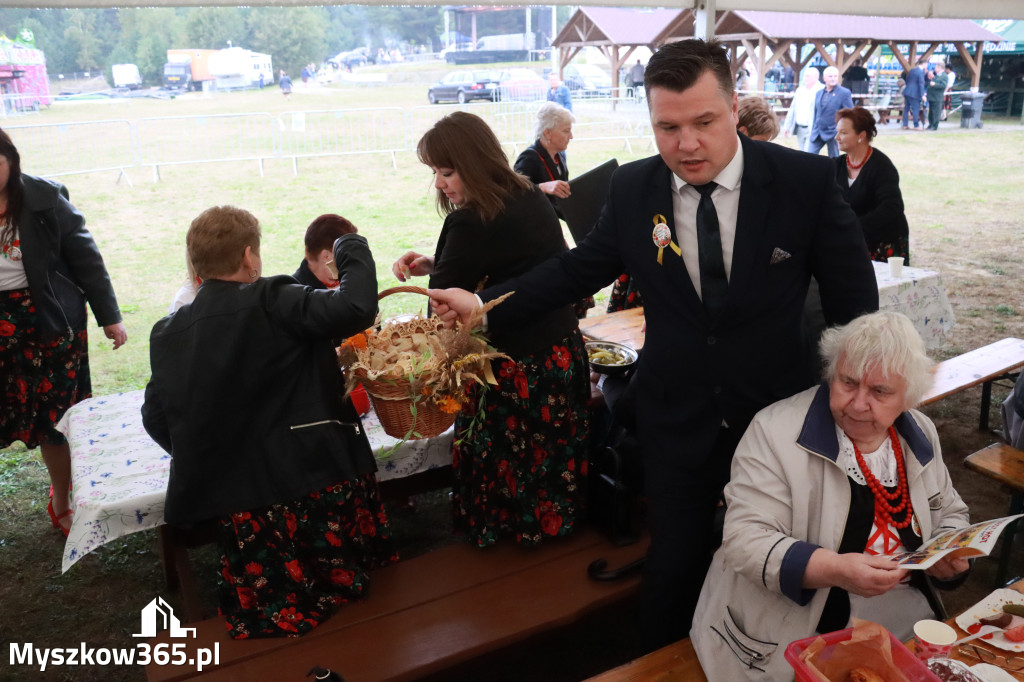 Fotorelacja II: Dożynki Powiatu Myszkowskiego w Niegowie