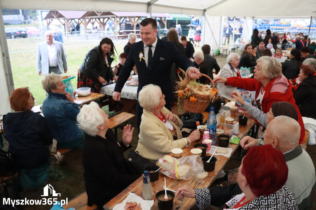 Fotorelacja II: Dożynki Powiatu Myszkowskiego w Niegowie