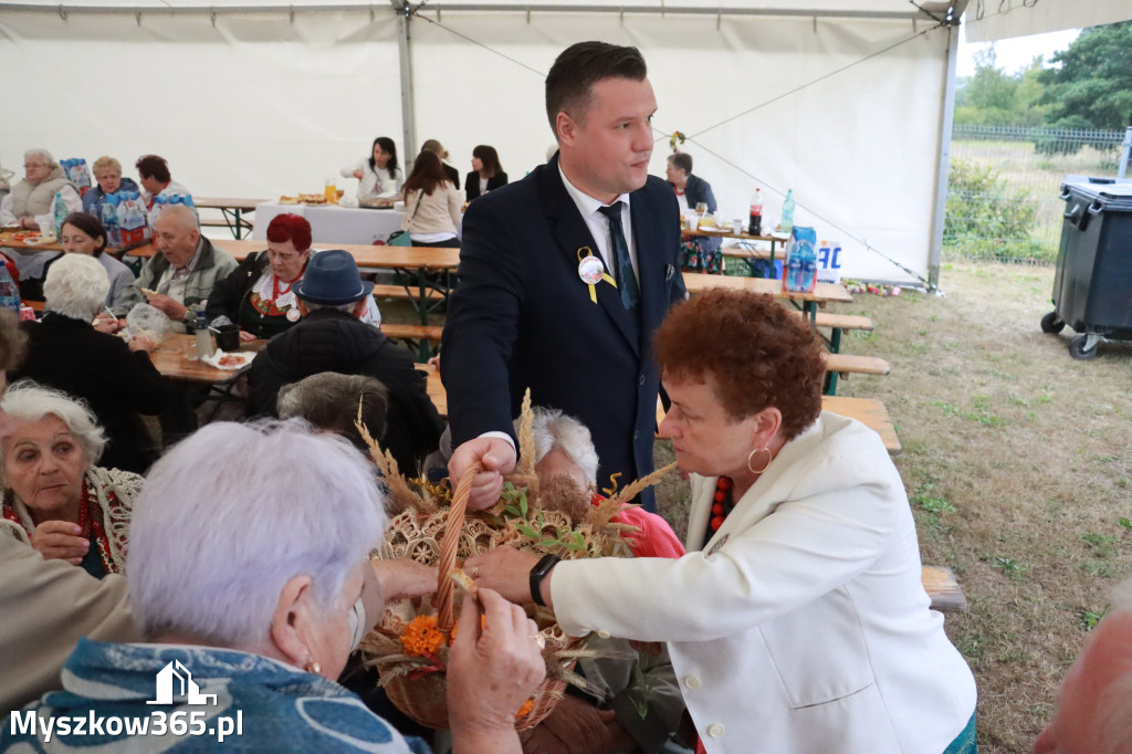 Fotorelacja II: Dożynki Powiatu Myszkowskiego w Niegowie
