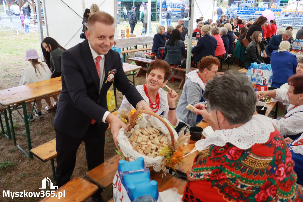 Fotorelacja II: Dożynki Powiatu Myszkowskiego w Niegowie