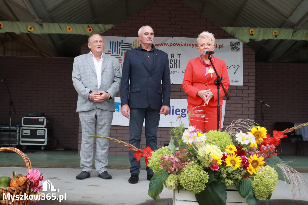 Fotorelacja II: Dożynki Powiatu Myszkowskiego w Niegowie