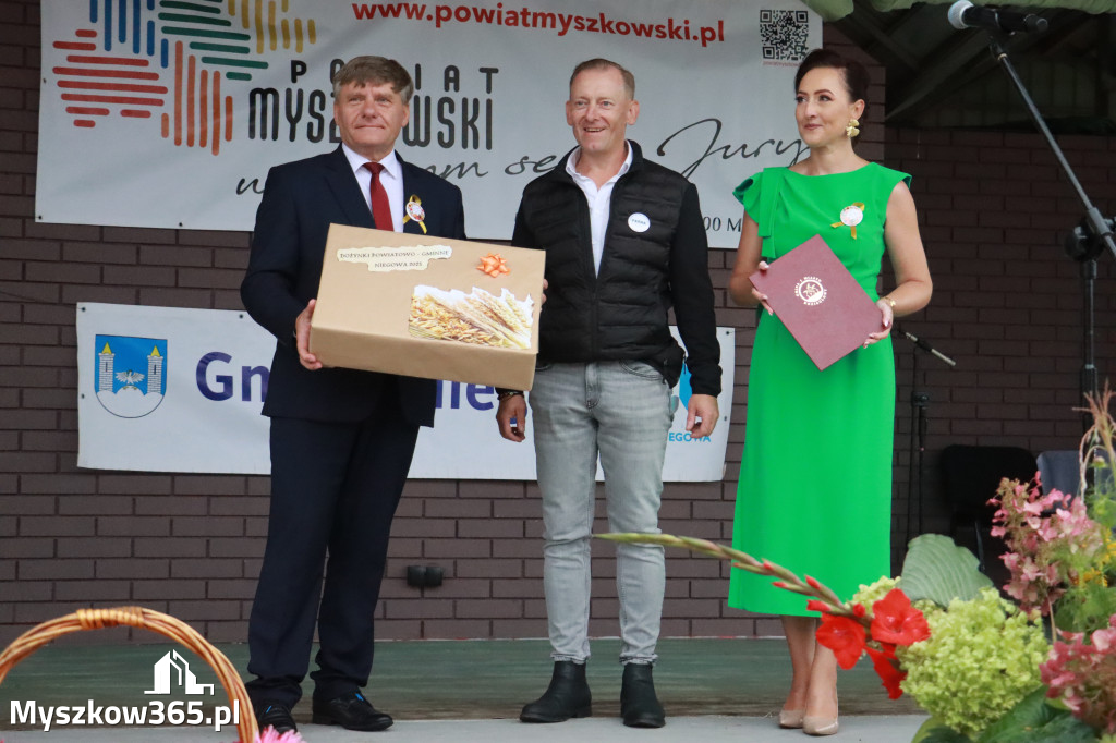 Fotorelacja II: Dożynki Powiatu Myszkowskiego w Niegowie