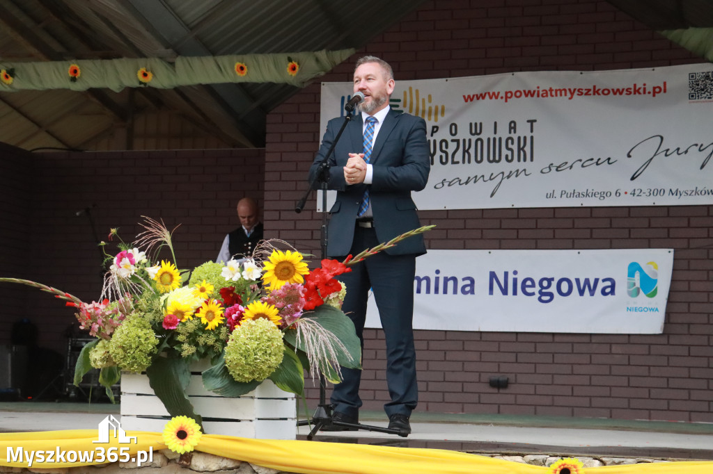 Fotorelacja II: Dożynki Powiatu Myszkowskiego w Niegowie