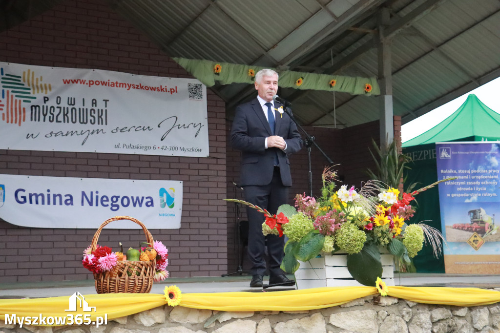 Fotorelacja II: Dożynki Powiatu Myszkowskiego w Niegowie