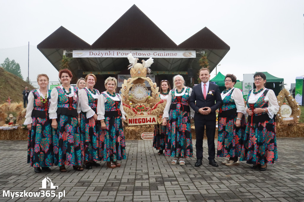 Fotorelacja III: Dożynki Powiatu Myszkowskiego w Niegowie