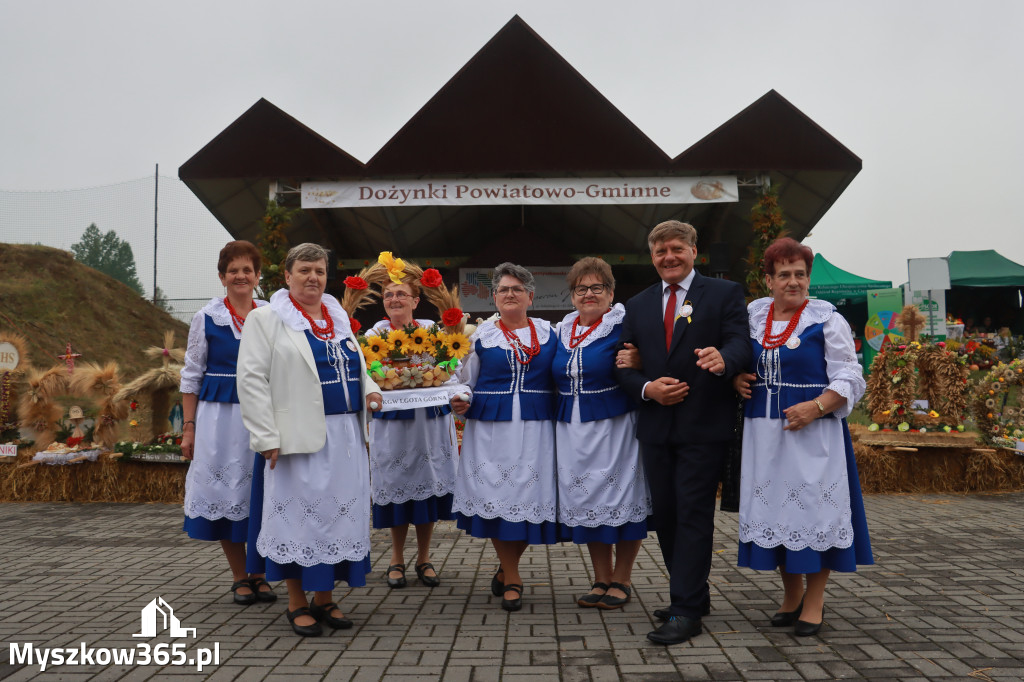 Fotorelacja III: Dożynki Powiatu Myszkowskiego w Niegowie