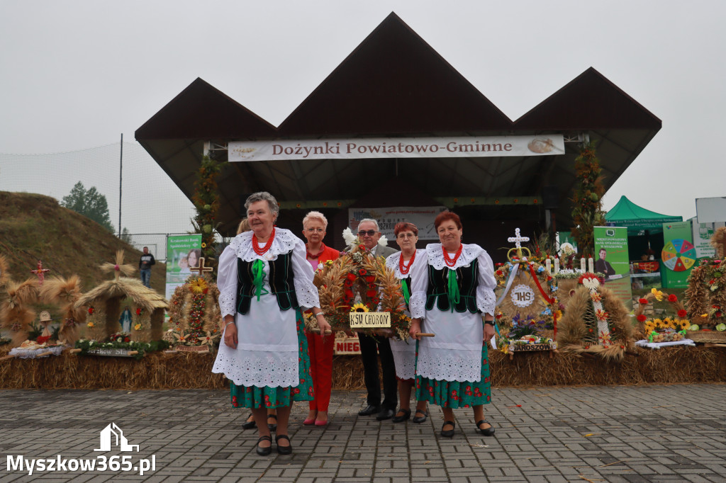 Fotorelacja III: Dożynki Powiatu Myszkowskiego w Niegowie