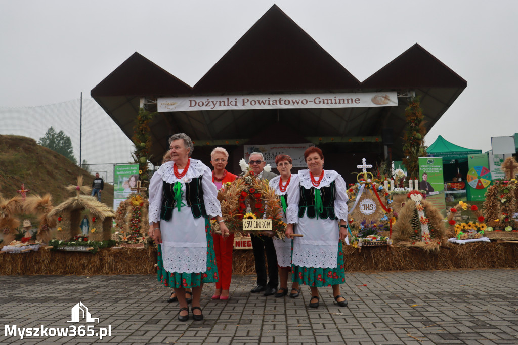 Fotorelacja III: Dożynki Powiatu Myszkowskiego w Niegowie