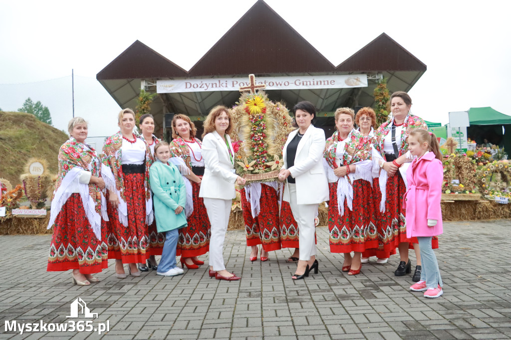 Fotorelacja III: Dożynki Powiatu Myszkowskiego w Niegowie