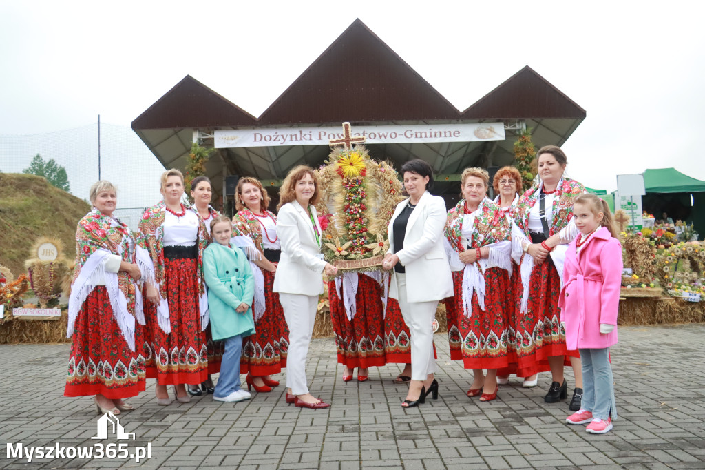 Fotorelacja III: Dożynki Powiatu Myszkowskiego w Niegowie