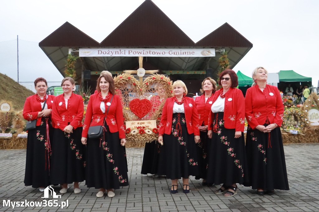 Fotorelacja III: Dożynki Powiatu Myszkowskiego w Niegowie