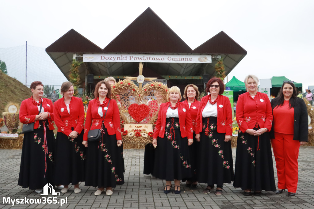 Fotorelacja III: Dożynki Powiatu Myszkowskiego w Niegowie